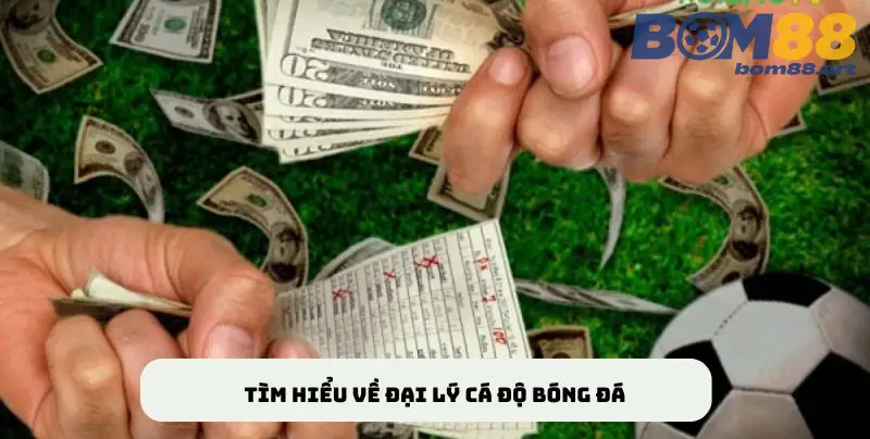 Tìm hiểu về việc trở thành đại lý cá độ bóng đá BOM88