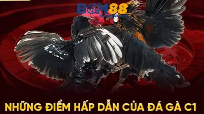 da ga truc tiep c1 6896f8fe1aa16