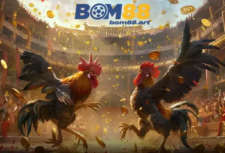 Khám Phá Thế Giới Đá Gà tại BOM88