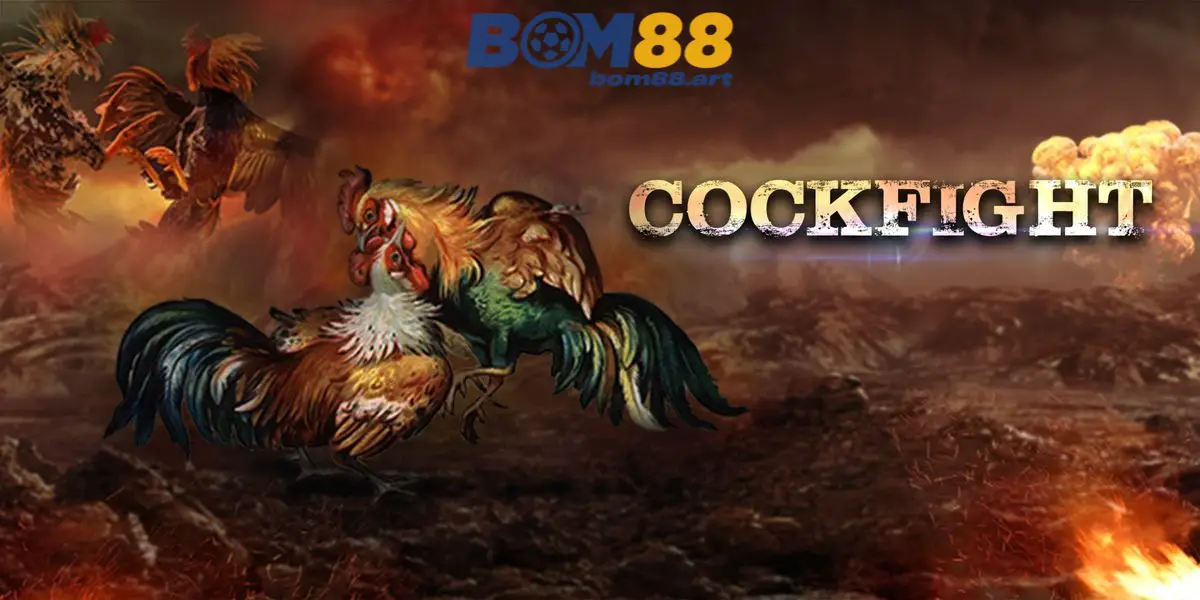 Dịch Vụ Chăm Sóc Khách Hàng Chuyên Nghiệp 24/7